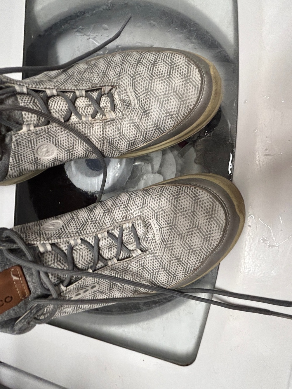 Ecco Hybrid Biom Gore Tex Golf Shoes